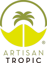Artisan tropic Plantain Strips 4.5oz.
